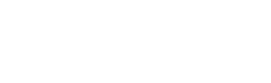 AttiNexis